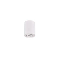 DECKENLEUCHTE  9,6/12,5 cm    - Basics (9,6/12,5cm) - Trio Leuchten