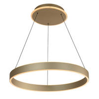 LED-PENDELLEUCHTE 60/150 cm  - Goldfarben, LIFESTYLE, Kunststoff/Metall (60/150cm)