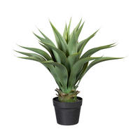KUNSTPFLANZE Agave 57 cm  - Schwarz/Braun, Design, Kunststoff (57cm) - P & B