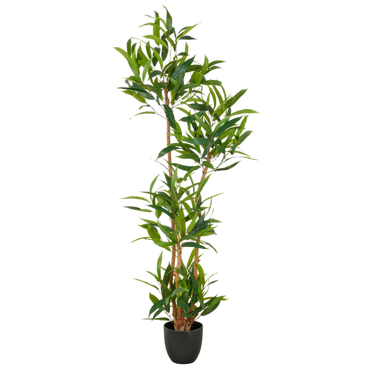 KUNSTPFLANZE 150 cm  - Schwarz/Braun, Basics, Kunststoff (150cm) - P & B