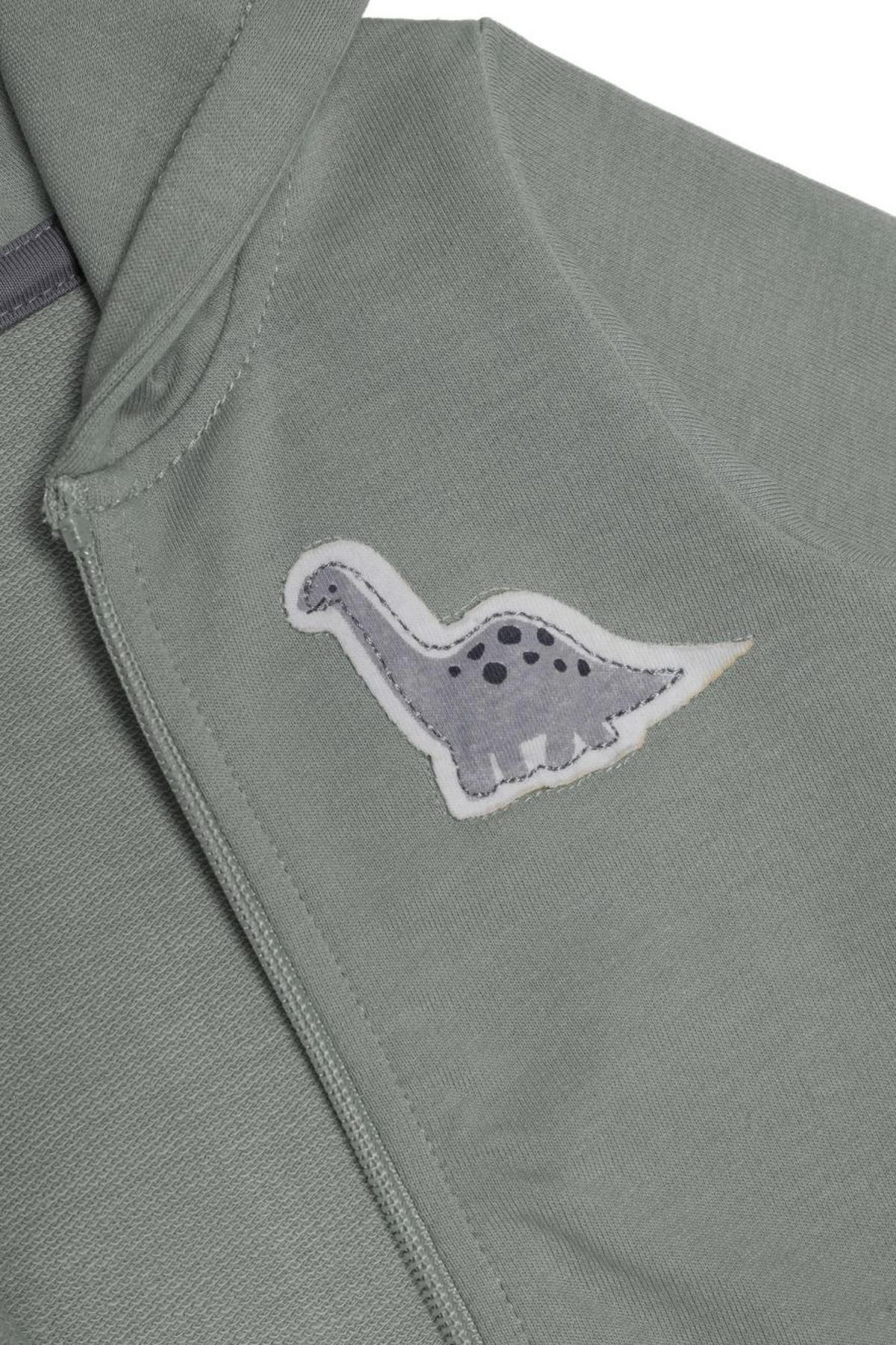 JACKE - Salbeigrün, Basics, Textil (68null) - Patinio