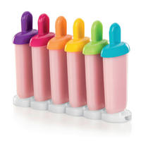 FORMA NA NANUKY - Basics, plast (17/30/5.7cm) - Tescoma