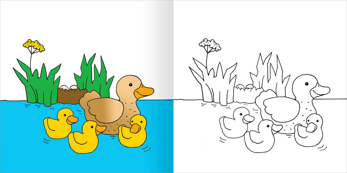 MALBUCH  - Multicolor, Basics, Papier (20,8/20,8/1cm)