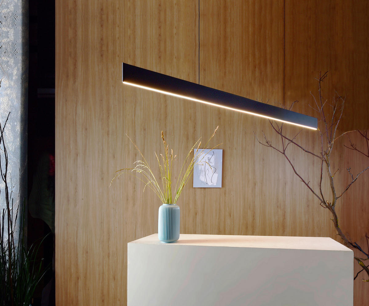 LED-PENDELLEUCHTE Apollon 146/0,8/8 cm   - Schwarz, Design, Metall (146/0,8/8cm)