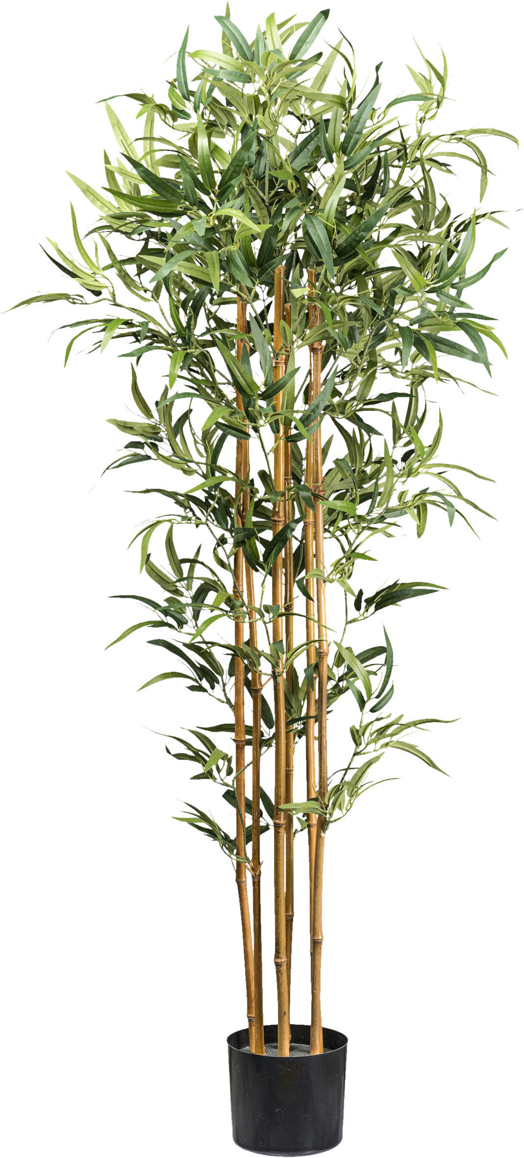 KUNSTPFLANZE Bambus 155 cm  - Schwarz/Naturfarben, Design, Kunststoff (155cm) - P & B