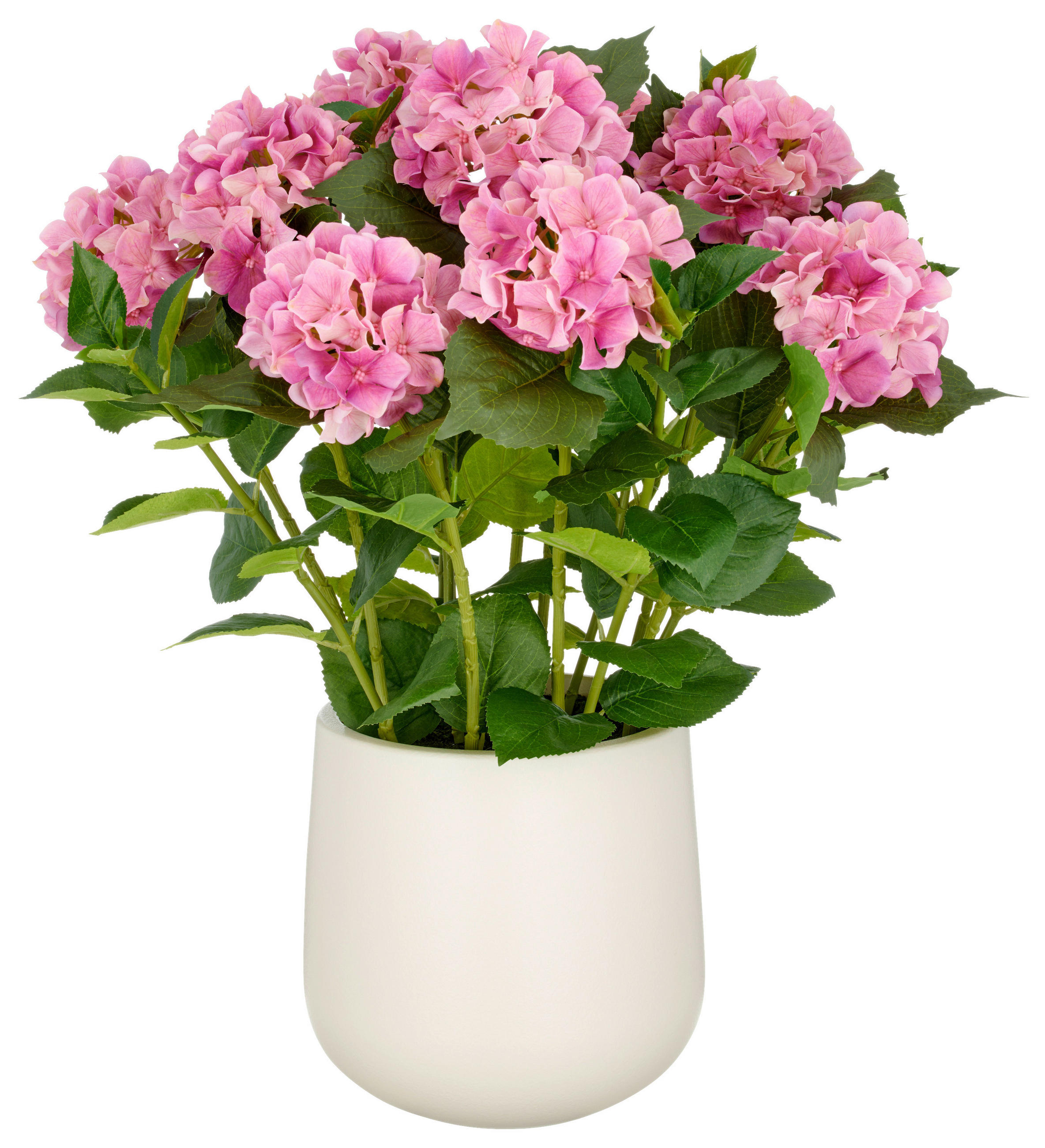 KUNSTPFLANZE Hortensie  - Pink/Creme, Basics, Kunststoff (27/77/27cm)