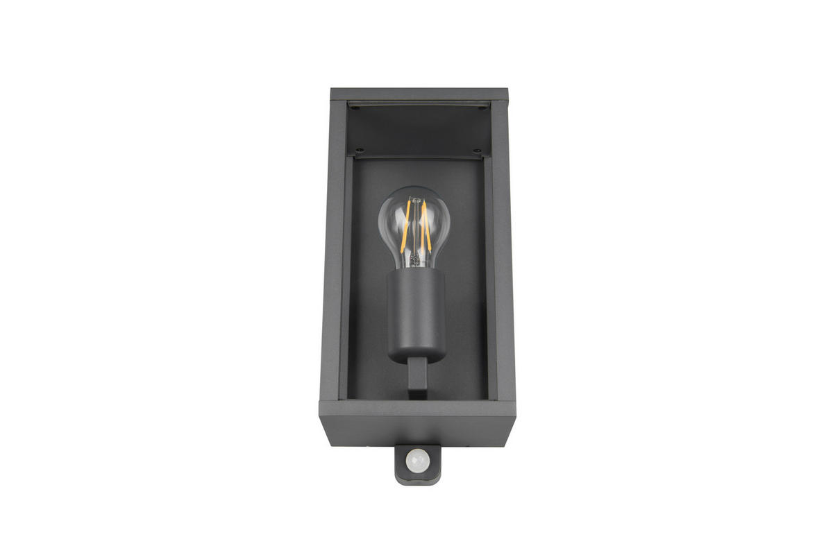 VÄGGLAMPA FÖR UTOMHUS 14/29 cm   - antracit/transparent, Basics, metall/glas (14/29cm)
