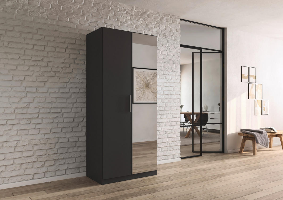 DREHTÜRENSCHRANK 91/210/54 cm,  in Grau, 2-türig  - Alufarben/Grau, KONVENTIONELL, Glas/Holzwerkstoff (91/210/54cm) - home24