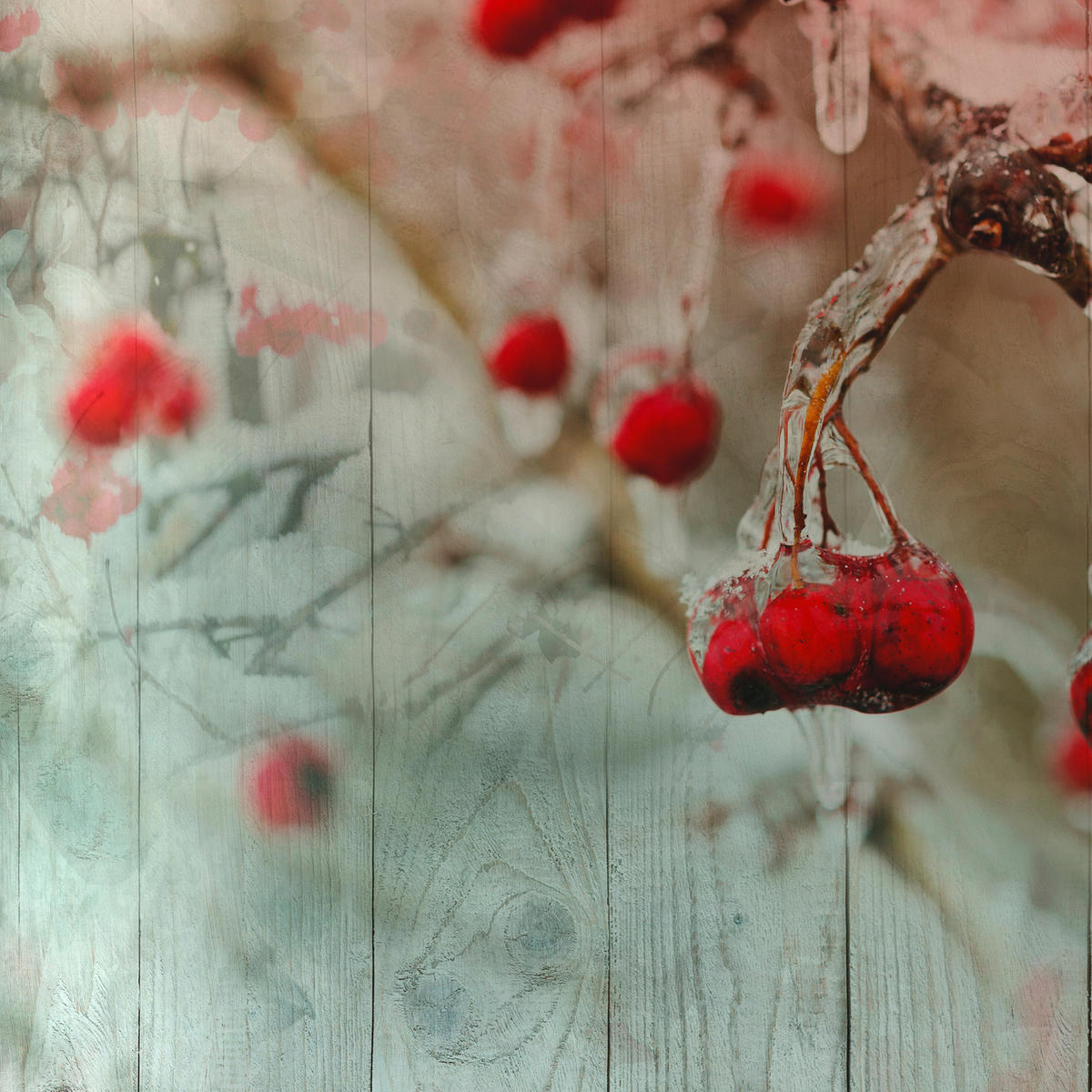 POSTELJNINA WINTER 140/200 cm saten večbarvno  - večbarvno, Konvencionalno, tekstil (140/200cm) - Esposa