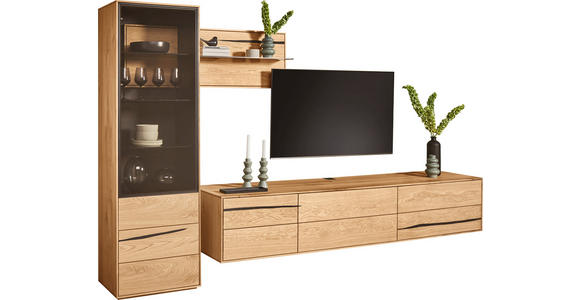 WOHNWAND  in Schwarz, Eichefarben  320/192/50 cm  LED-COB-Leuchtmittel, Dekoleuchtmittel   - Eichefarben/Schwarz, Natur, Glas/Holz (320/192/50cm) - Waldwelt