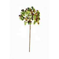 DEKORAČNÁ VETVIČKA 30 cm - zelená/červená, Natur (30cm)