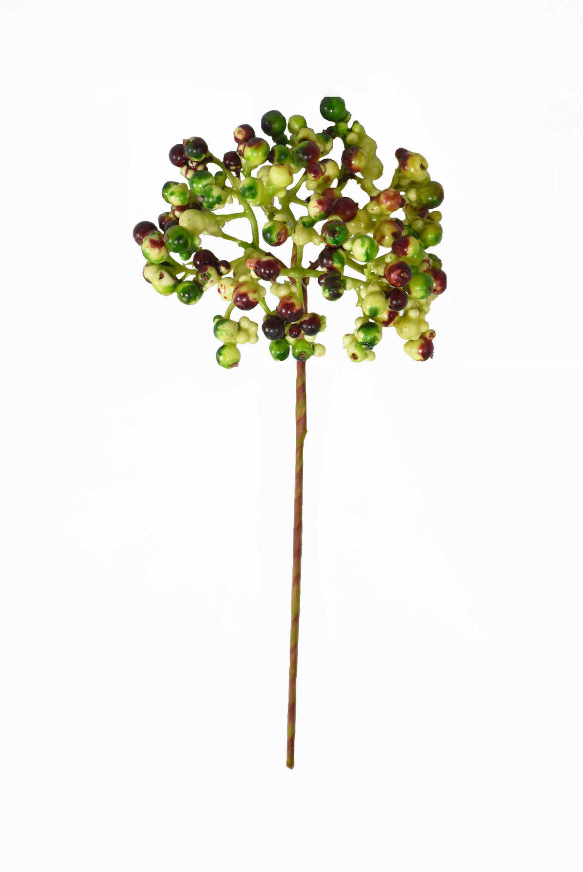 DEKORAČNÁ VETVIČKA 30 cm - zelená/červená, Natur (30cm)