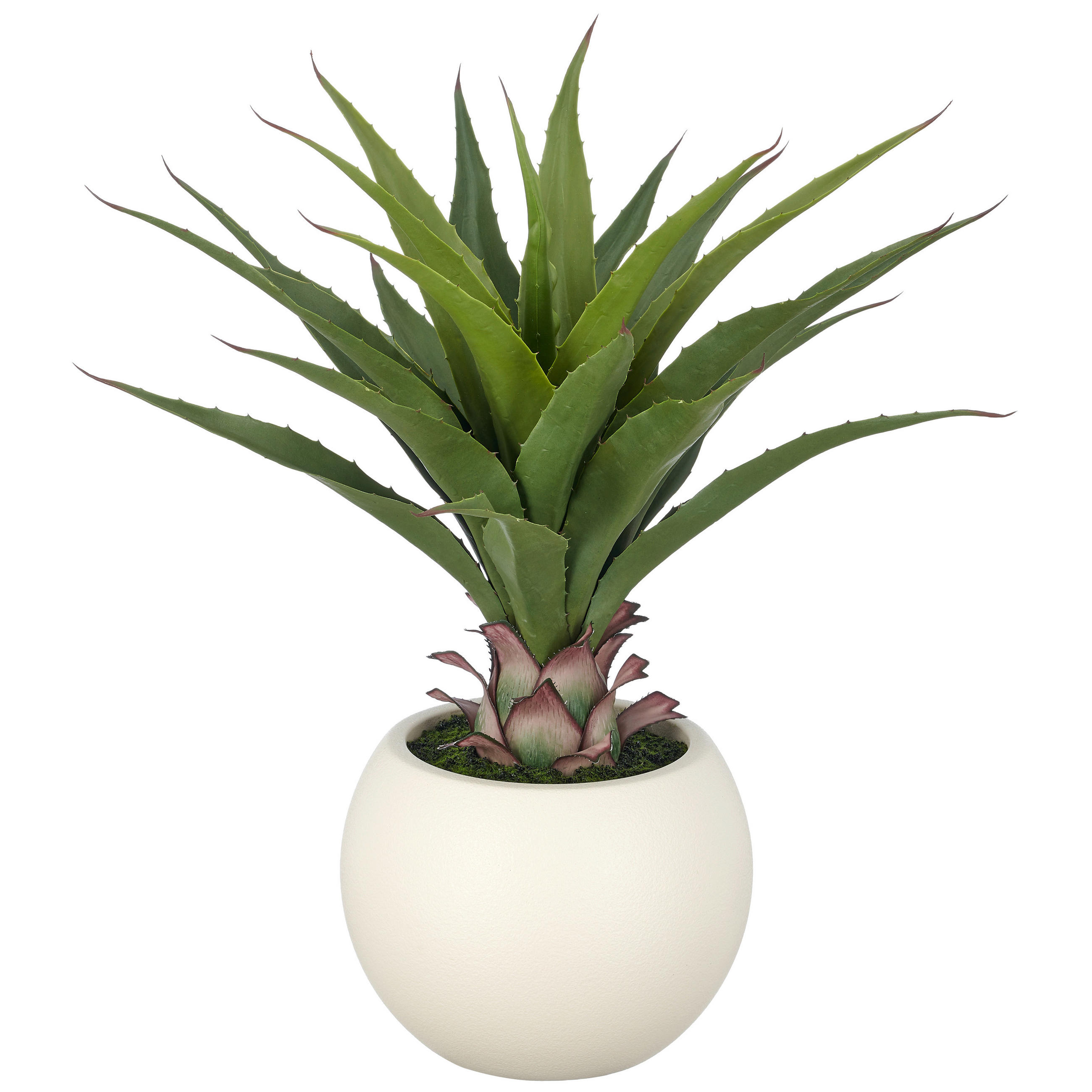 KUNSTPFLANZE Agave 65 cm  - Creme/Grün, Basics, Kunststoff (65cm)