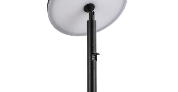 STEHLEUCHTE 29/150 cm    - Transparent/Schwarz, Trend, Kunststoff/Metall (29/150cm) - Novel