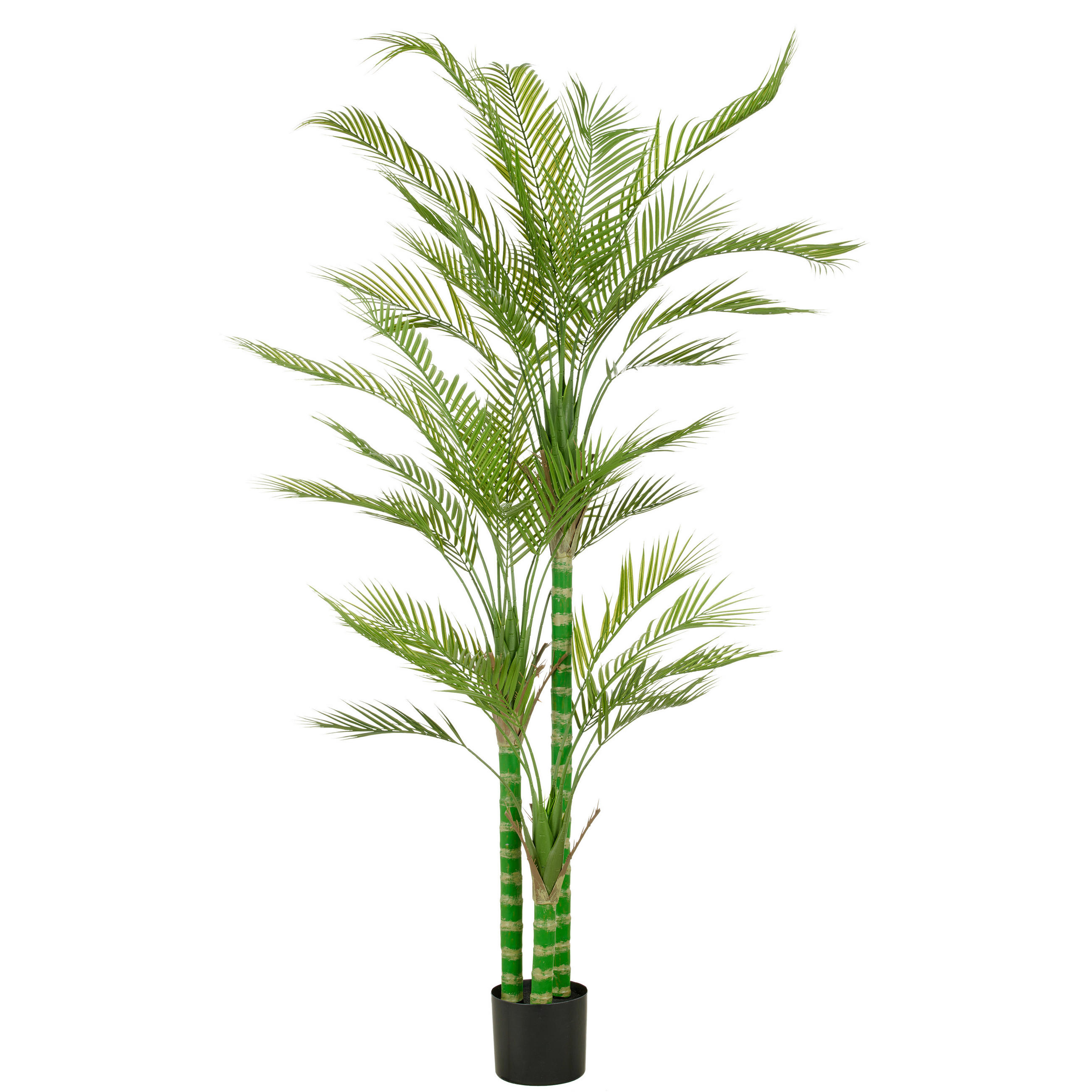 KUNSTPFLANZE Palme 180 cm  - Schwarz/Grün, Basics, Kunststoff (180cm) - P & B