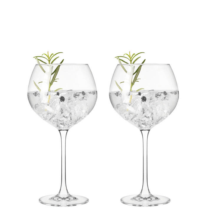 GLÄSERSET Gin 2-teilig  - Klar/Transparent, Basics, Glas (22,6/21,5/11,5cm) - Leonardo