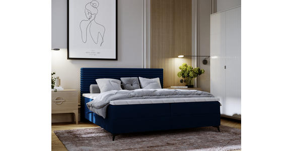 BOXBETT 160/200 cm  in Blau  - Blau/Schwarz, Design, Holz/Holzwerkstoff (160/200cm) - Xora