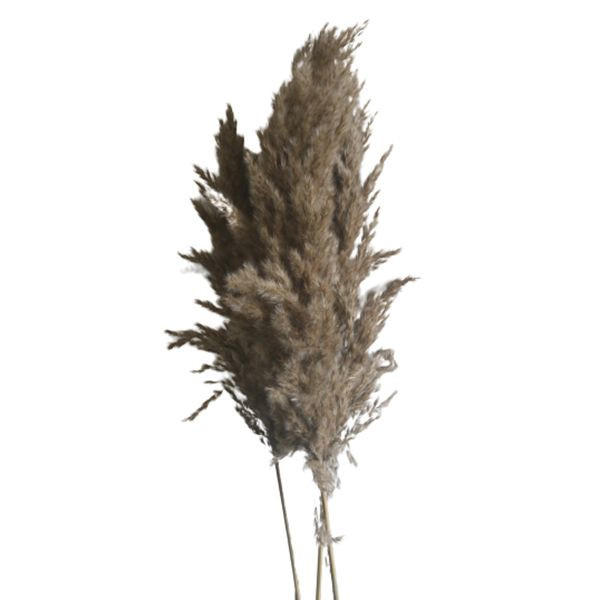 KONSTBLOMMA - Design (90cm)