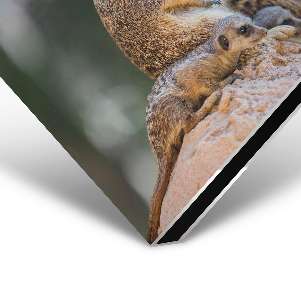 ALUMINIUMBILD 148/98 cm  - Sandfarben/Beige, Design, Kunststoff/Metall (148/98cm)