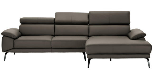 ECKSOFA Graubraun Echtleder Kopfteilverstellung  - Graubraun/Schwarz, Design, Leder/Metall (295/187cm) - Novel
