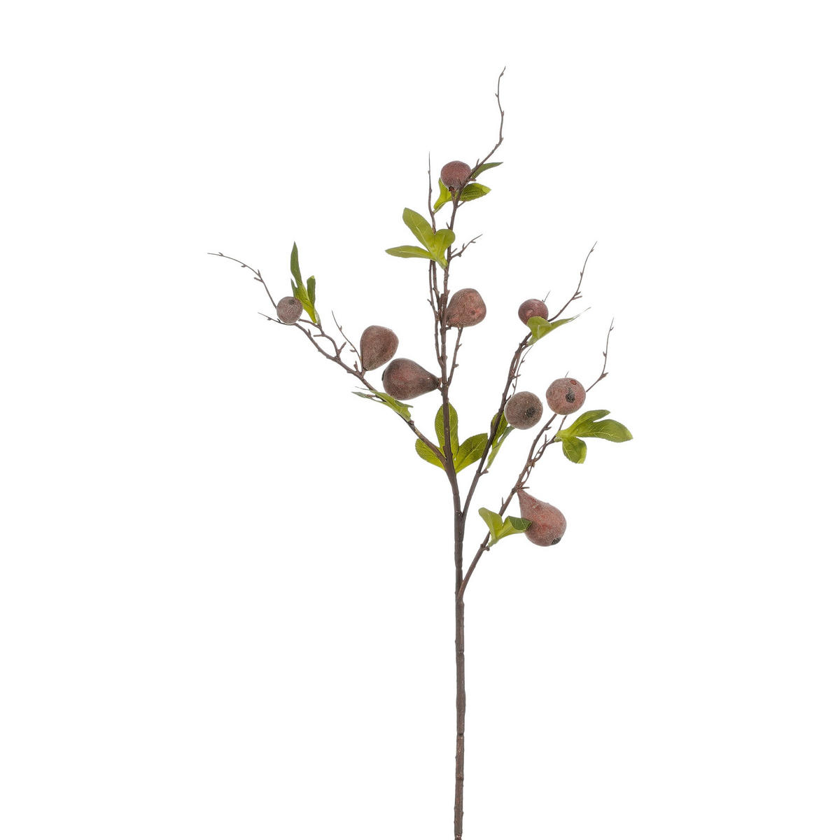 GRANA DEKORATIVNA  - ljubičasta, Basics (93/14/14cm)