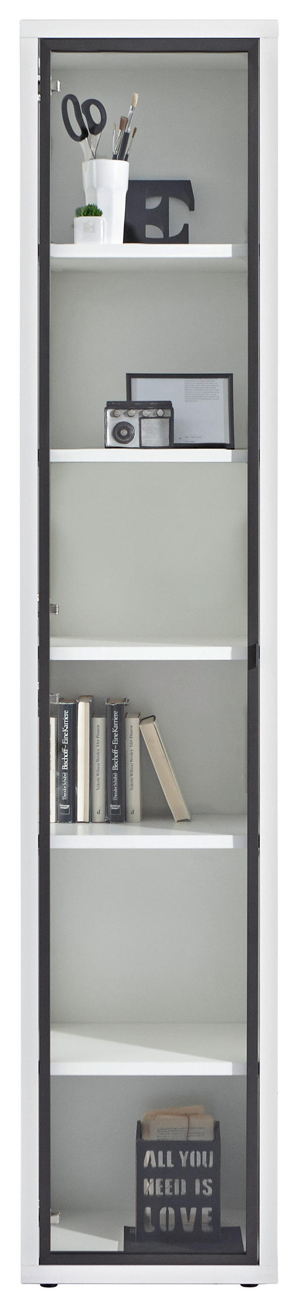 TÜR - Anthrazit, Design, Glas/Metall (37/209/2cm) - Carryhome