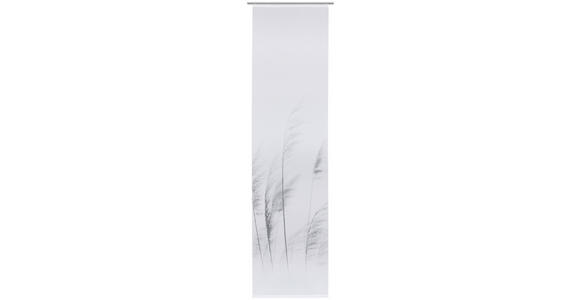 FLÄCHENVORHANG in Grau - Grau, Design, Textil (60/255cm) - Novel