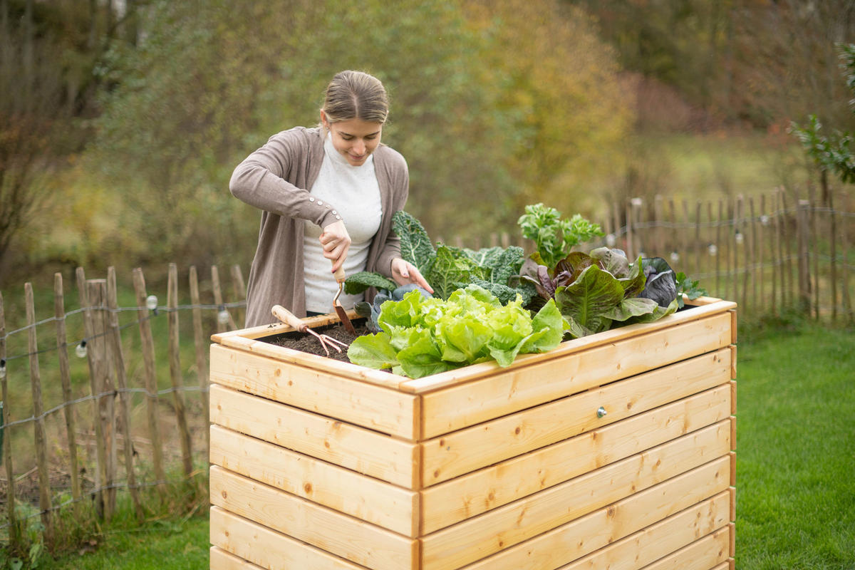 VYVÝŠENÝ ZÁHON   - farba smreka, Basics, drevo (70/90/130cm)