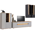 WOHNWAND 4-teilig  in Anthrazit, Eichefarben, Hellgrau   - Eichefarben/Anthrazit, Design, Glas/Holz (384,4/206/48cm) - Dieter Knoll