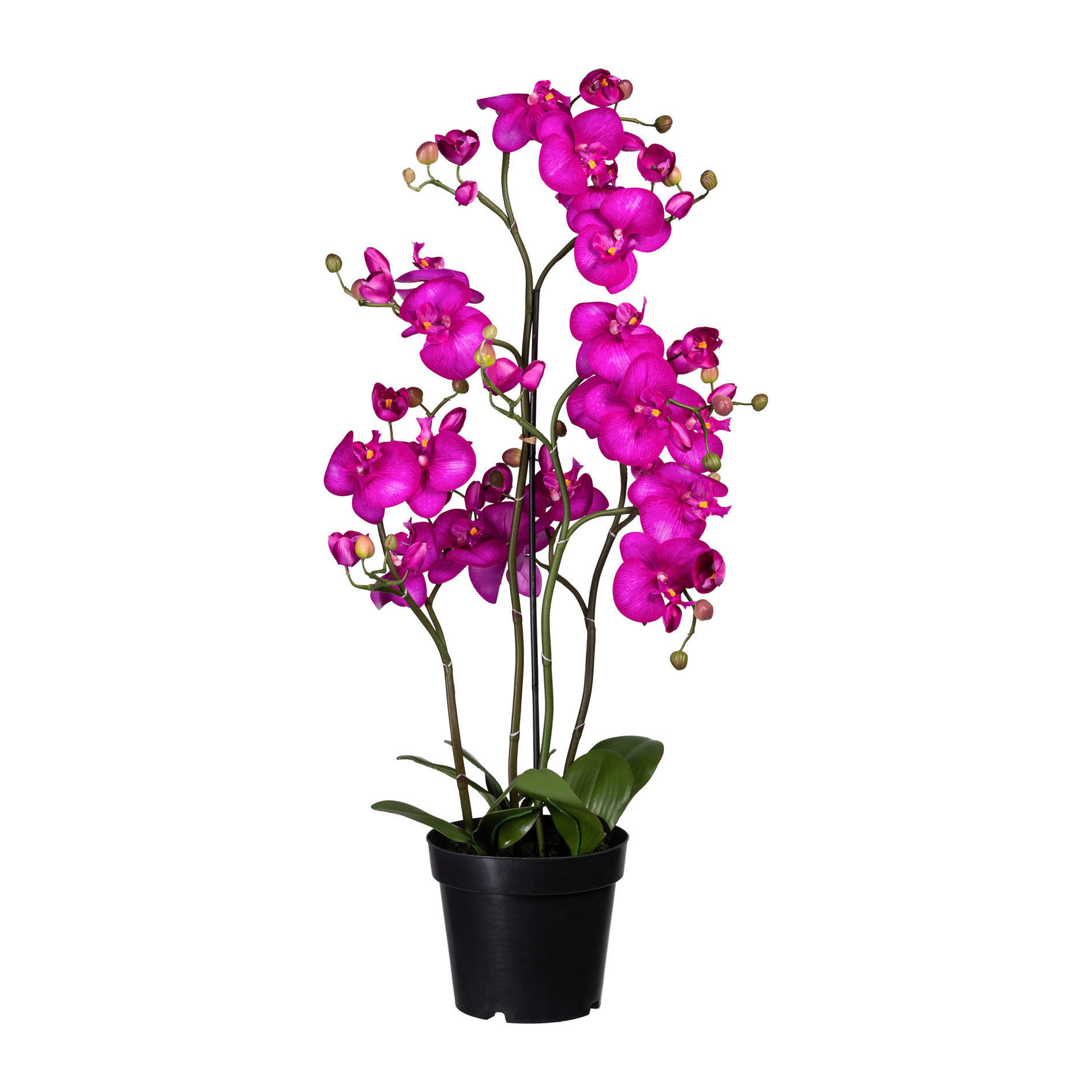 KUNSTPFLANZE Orchidee  - Lila/Schwarz, Basics, Kunststoff (90cm)