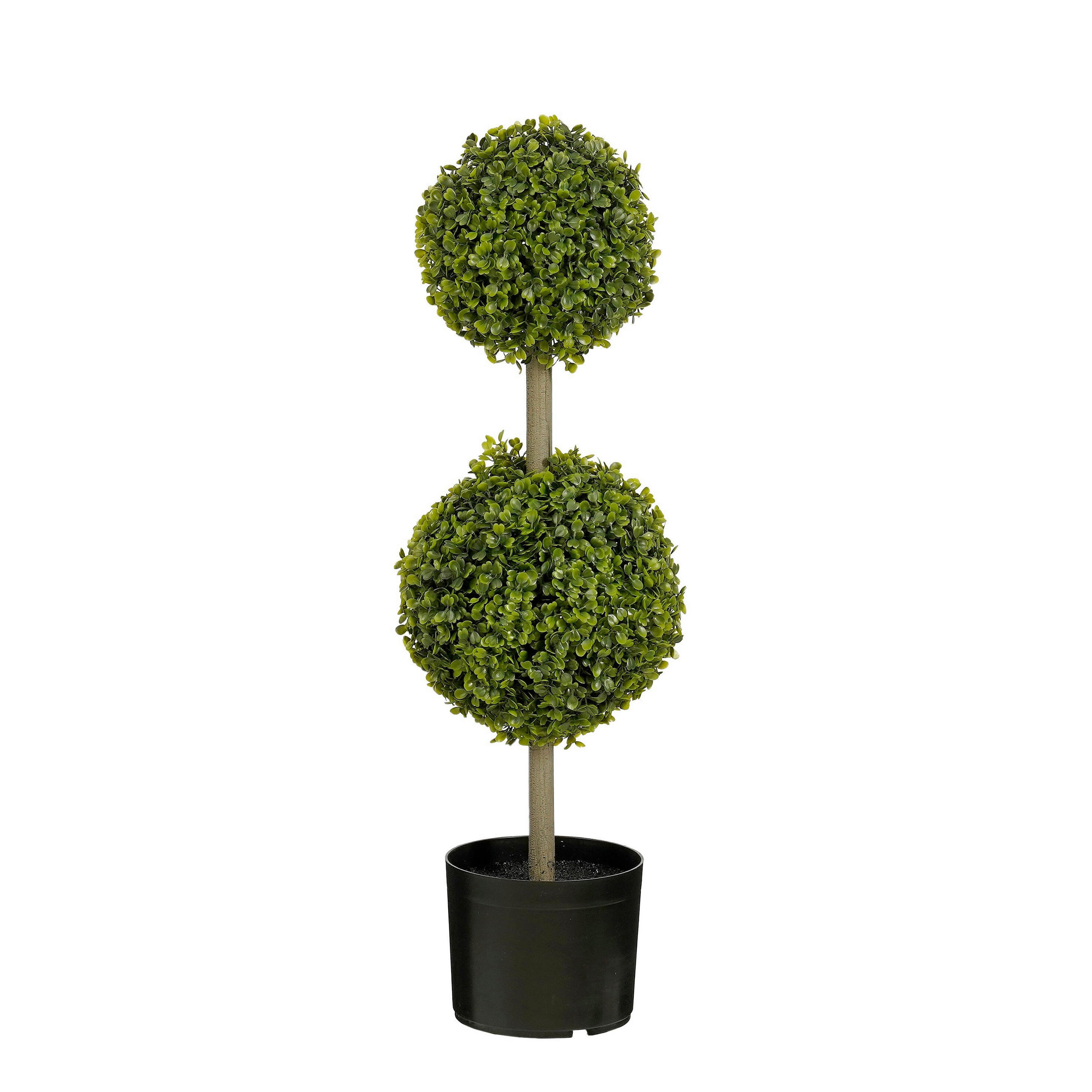 ŠIMŠIR  - zelena, Basics (22/72cm)
