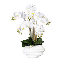 KUNSTBLUME Orchidee  - Weiß/Braun, Trend, Kunststoff (75cm)