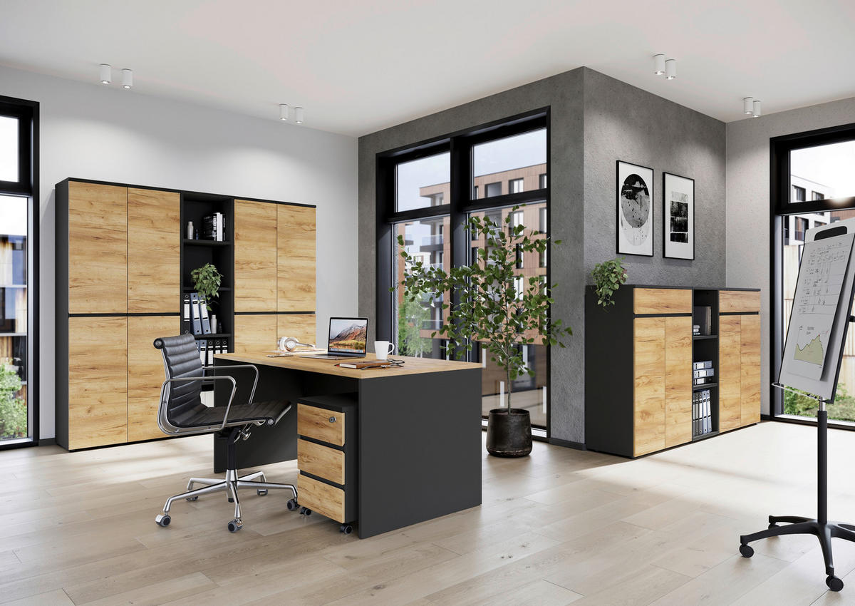 AKTENSCHRANK  - Eichefarben/Graphitfarben, MODERN, Holzwerkstoff (80/120/40cm) - Germania