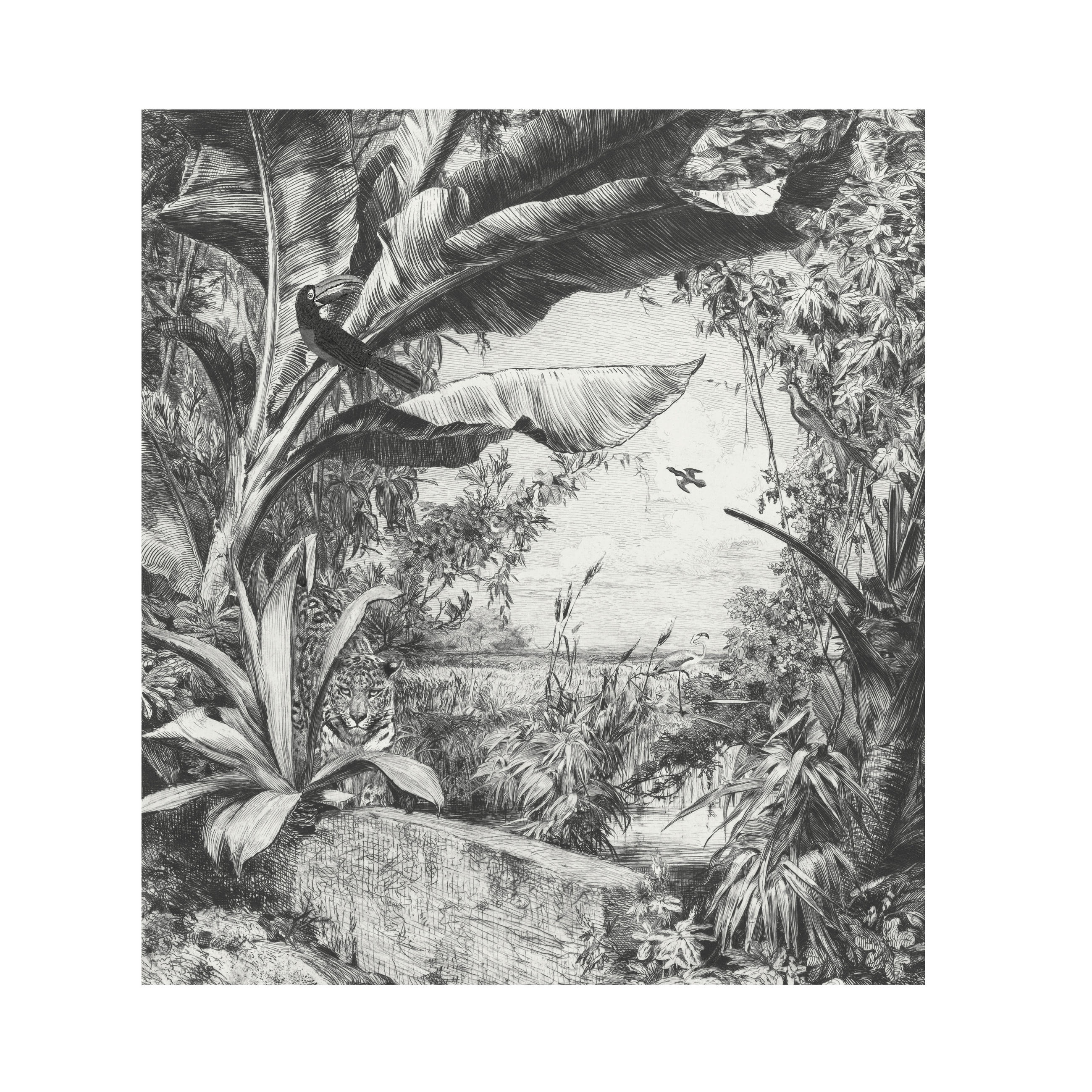 FOTOTAPETE  - Schwarz/Weiß, Basics, Papier/Kunststoff (250/280cm)