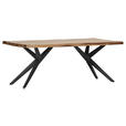TISCHPLATTE      - Sheeshamfarben, Design, Holz (200/100/5cm) - Landscape