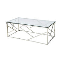 KONFERENČNÝ STOLÍK, číra, strieborná, kov, sklo, 120/60/45 cm - číra/strieborná, Design, kov/sklo (120/60/45cm) - Livetastic