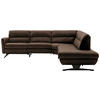 ECKSOFA Braun Echtleder  - Schwarz/Braun, Design, Leder/Metall (286/258cm) - Schöner Wohnen