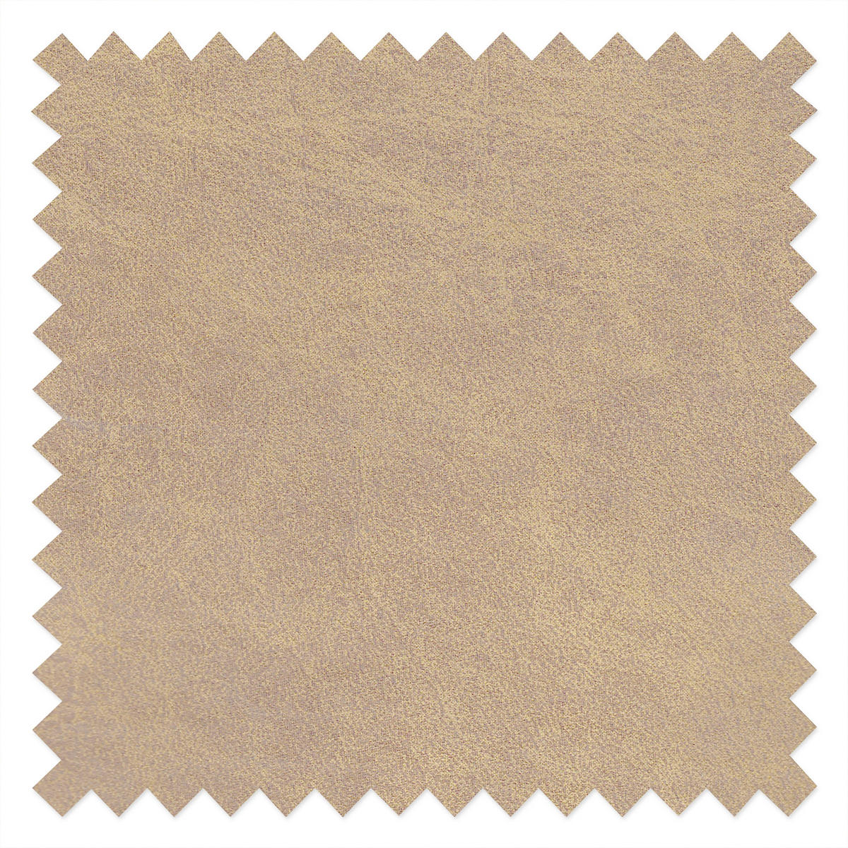 2-SITZER-SOFA SPRING in Lederlook Echtleder Creme  - Schwarzchrom/Creme, Design, Leder/Textil (157/85/92cm) - Livetastic