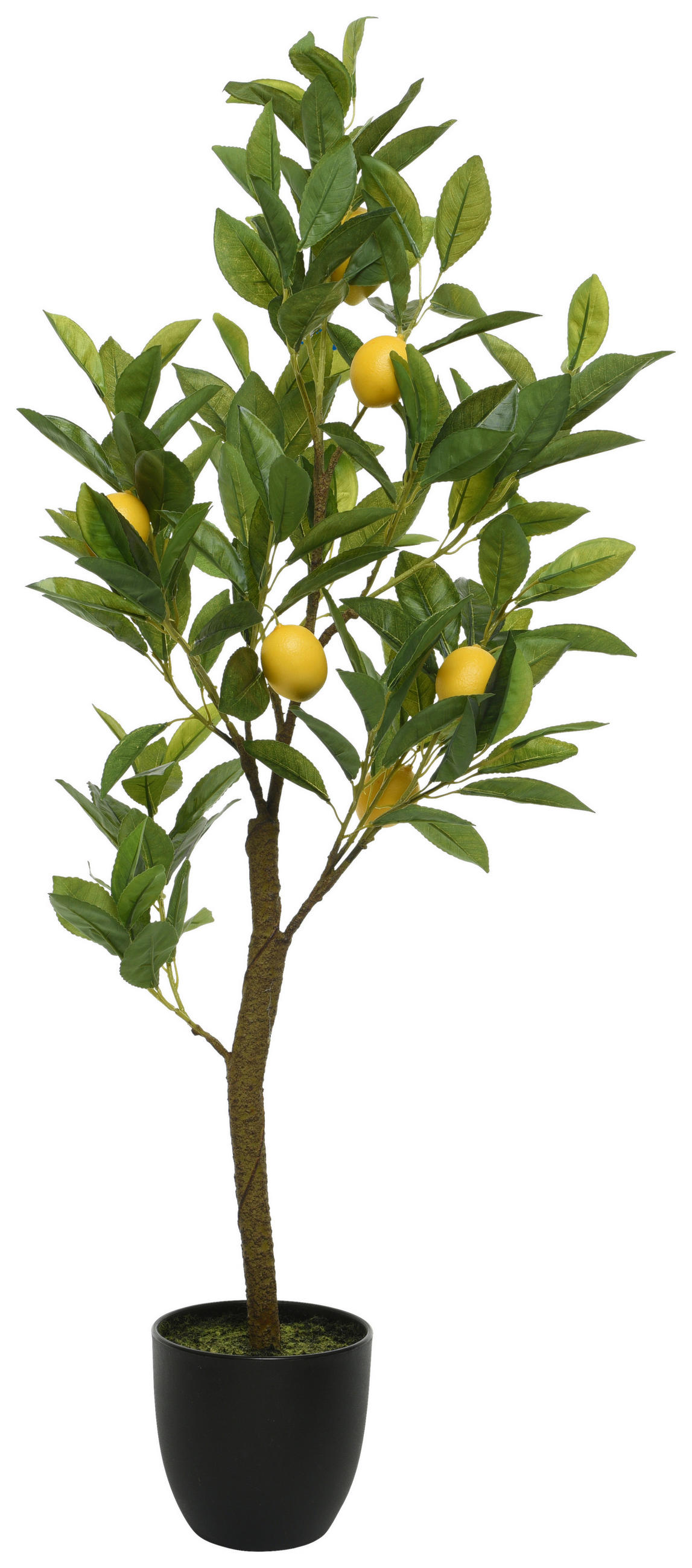 Pom Decorativ - verde, Basics, plastic (35/25/92cm)