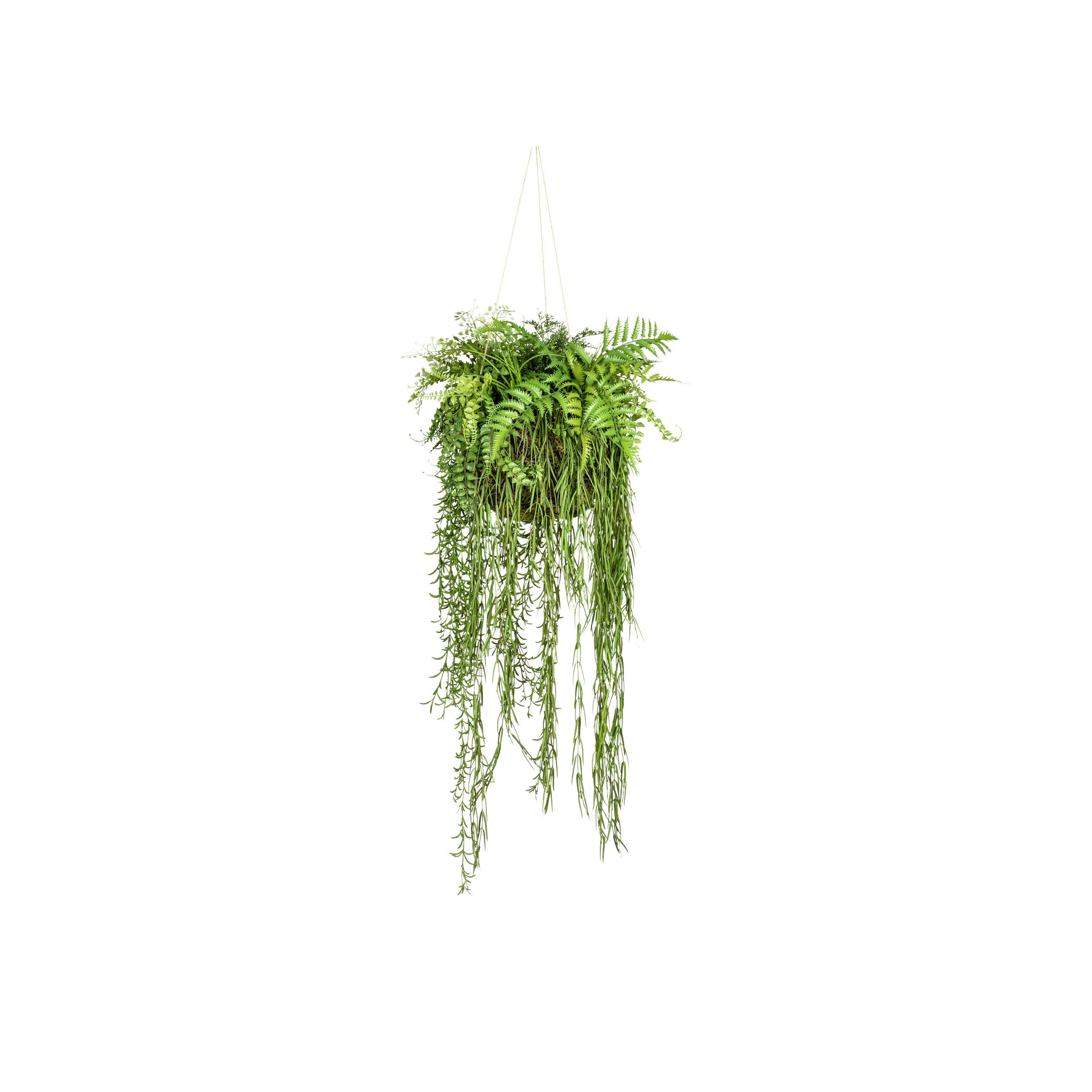 KUNSTPFLANZE 40 cm  - Grün, Design, Kunststoff (40cm) - P & B