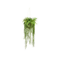 KUNSTPFLANZE 40 cm  - Grün, Design, Kunststoff (40cm) - P & B