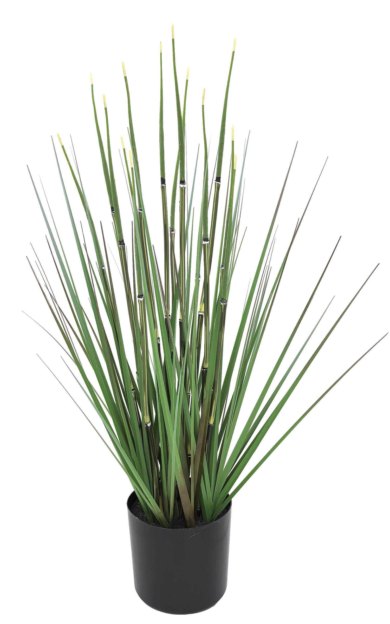 DEKOGRAS - Dunkelgrün, Basics, Kunststoff/Metall (66cm) - Ambia Home