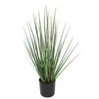 DEKOGRAS - Dunkelgrün, Basics, Kunststoff/Metall (66cm) - Ambia Home