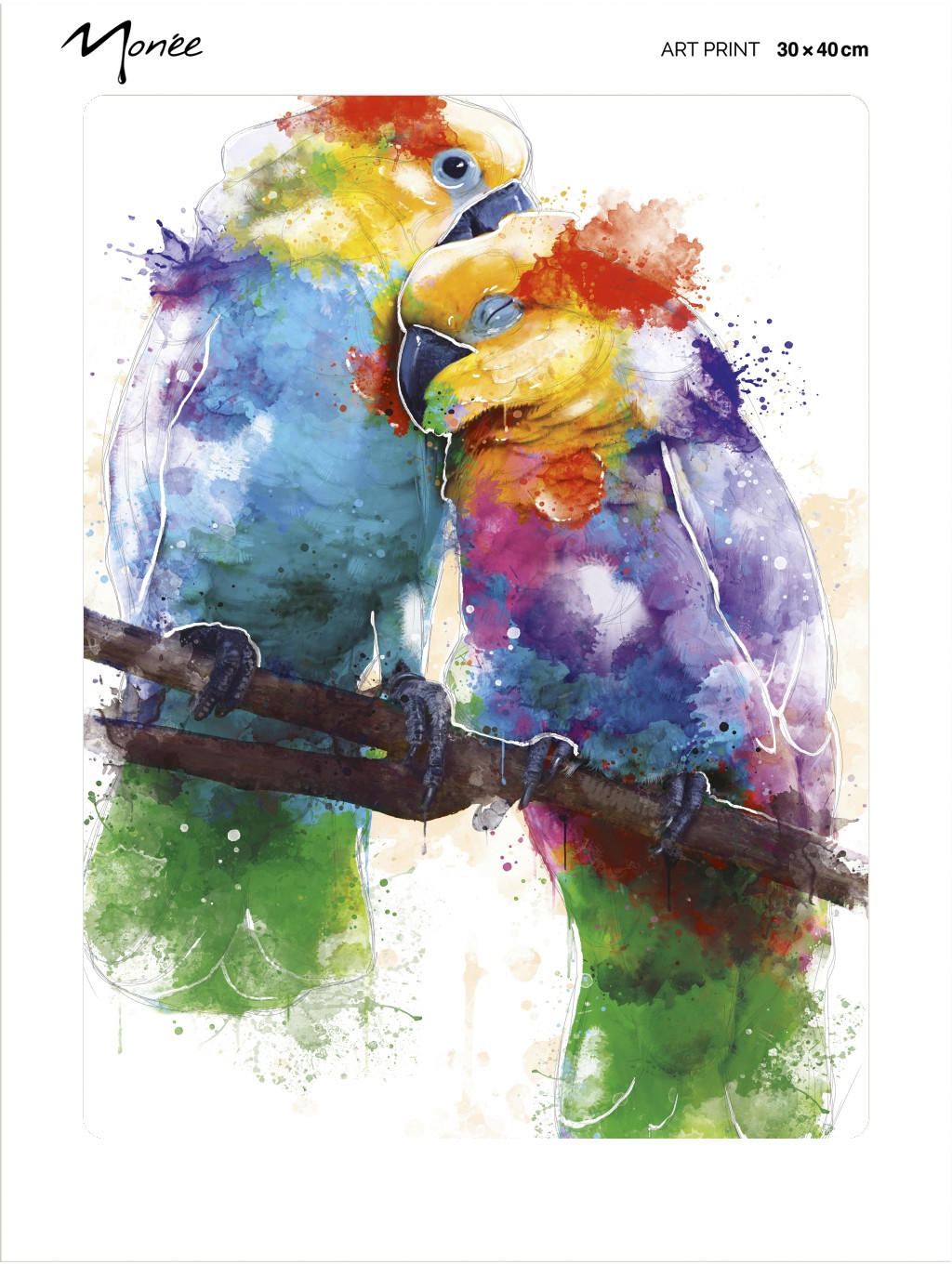 Monee Kunstdruck Kissy Parrots Mehrfarbig 30x40 cm