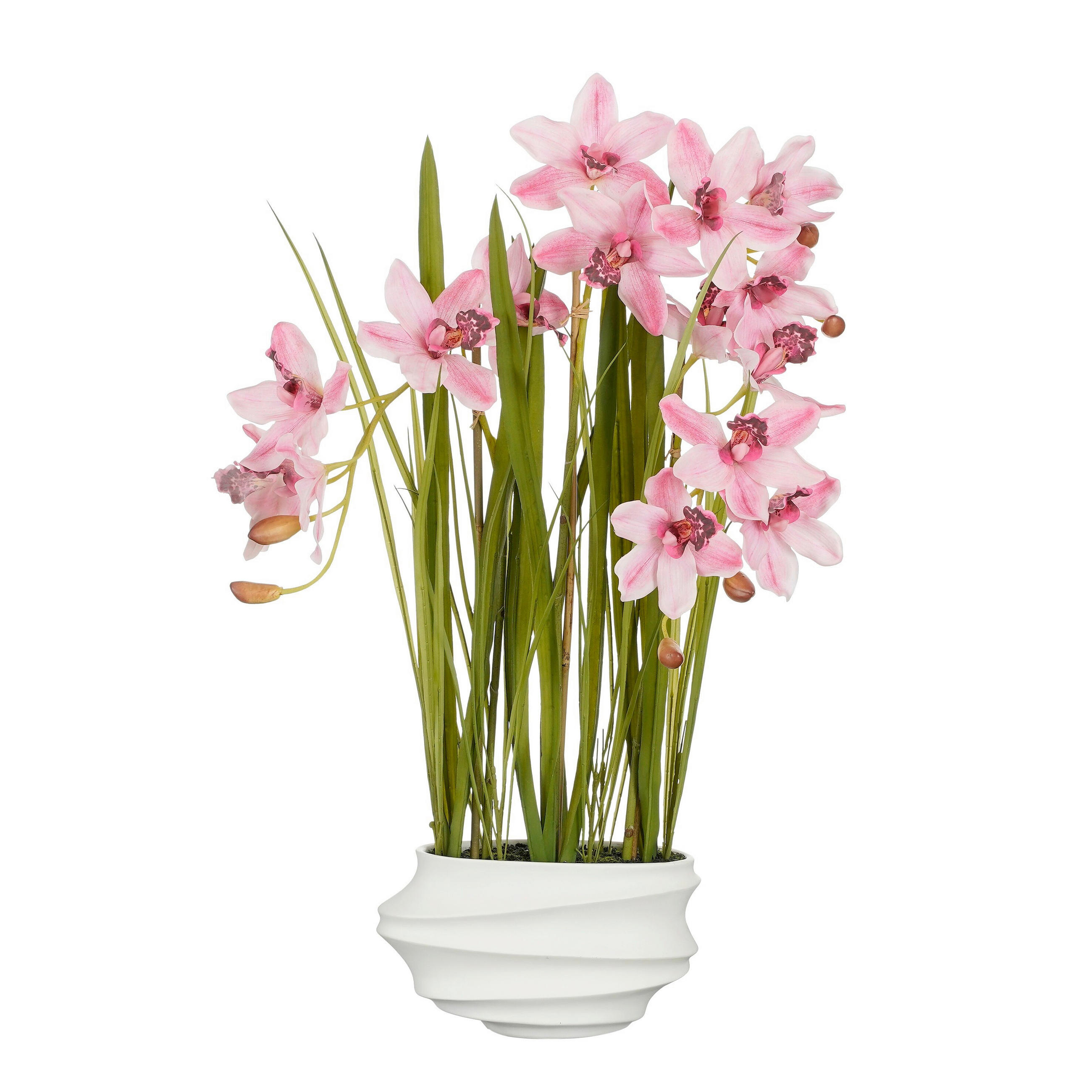 CIMBIDIJUM - pink, Osnovno, plastika (49/40/81cm)