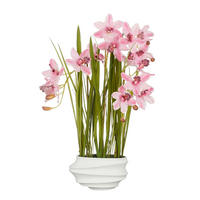 CSÓNAKORCHIDEA - pink, Basics, műanyag (49/40/81cm)