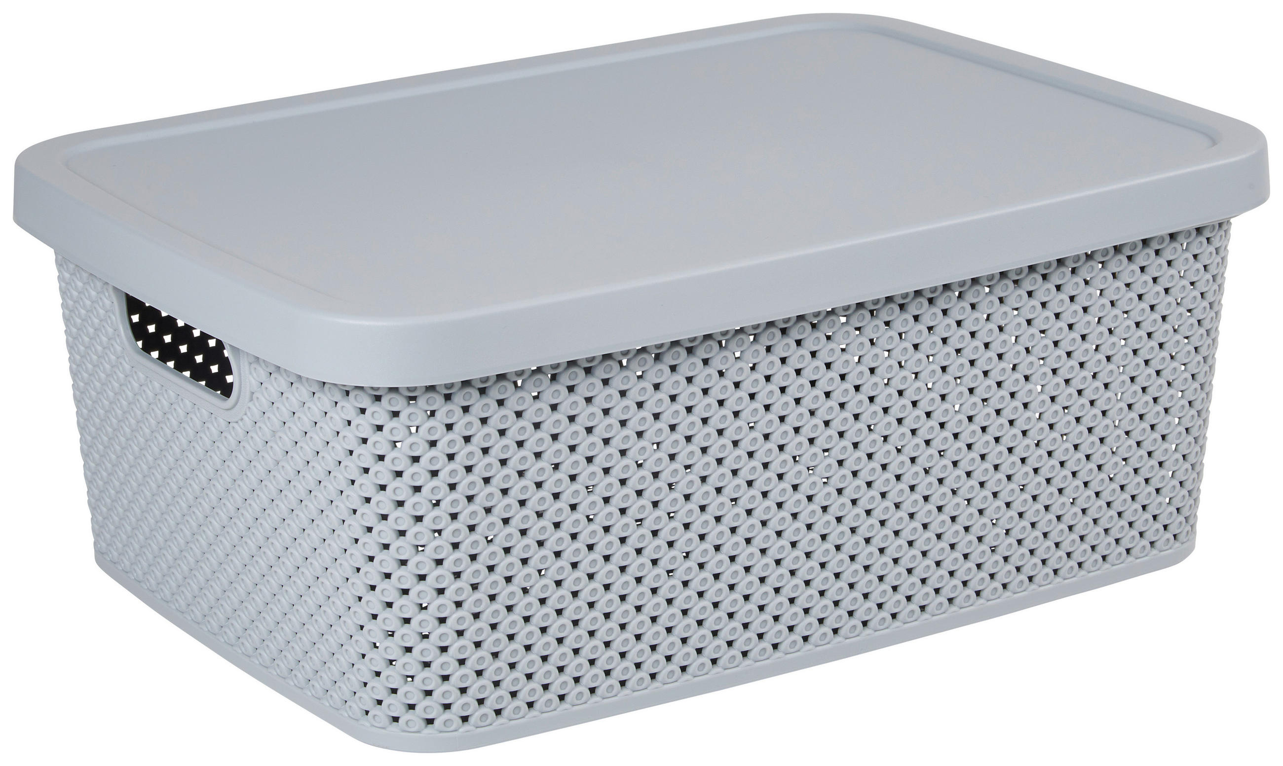 CUTIE PENTRU DEPOZITARE    38,5/28/15,5 cm  - gri deschis, Basics, plastic (38,5/28/15,5cm) - Homeware