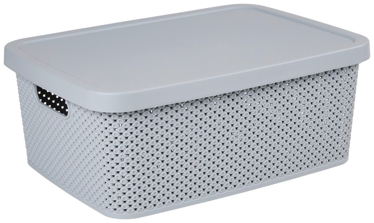 CUTIE PENTRU DEPOZITARE    38,5/28/15,5 cm  - gri deschis, Basics, plastic (38,5/28/15,5cm) - Homeware