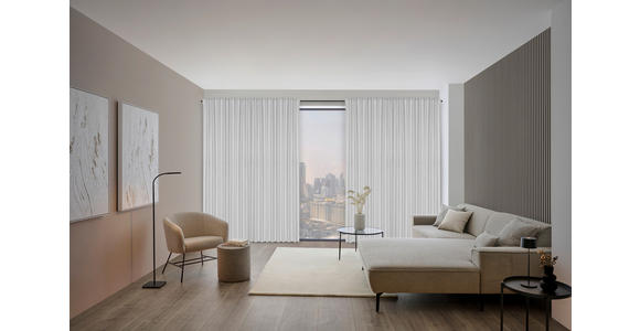 FERTIGVORHANG  black-out (lichtundurchlässig)   135/245 cm  - Hellgrau, Basics, Textil (135/245cm) - Dieter Knoll