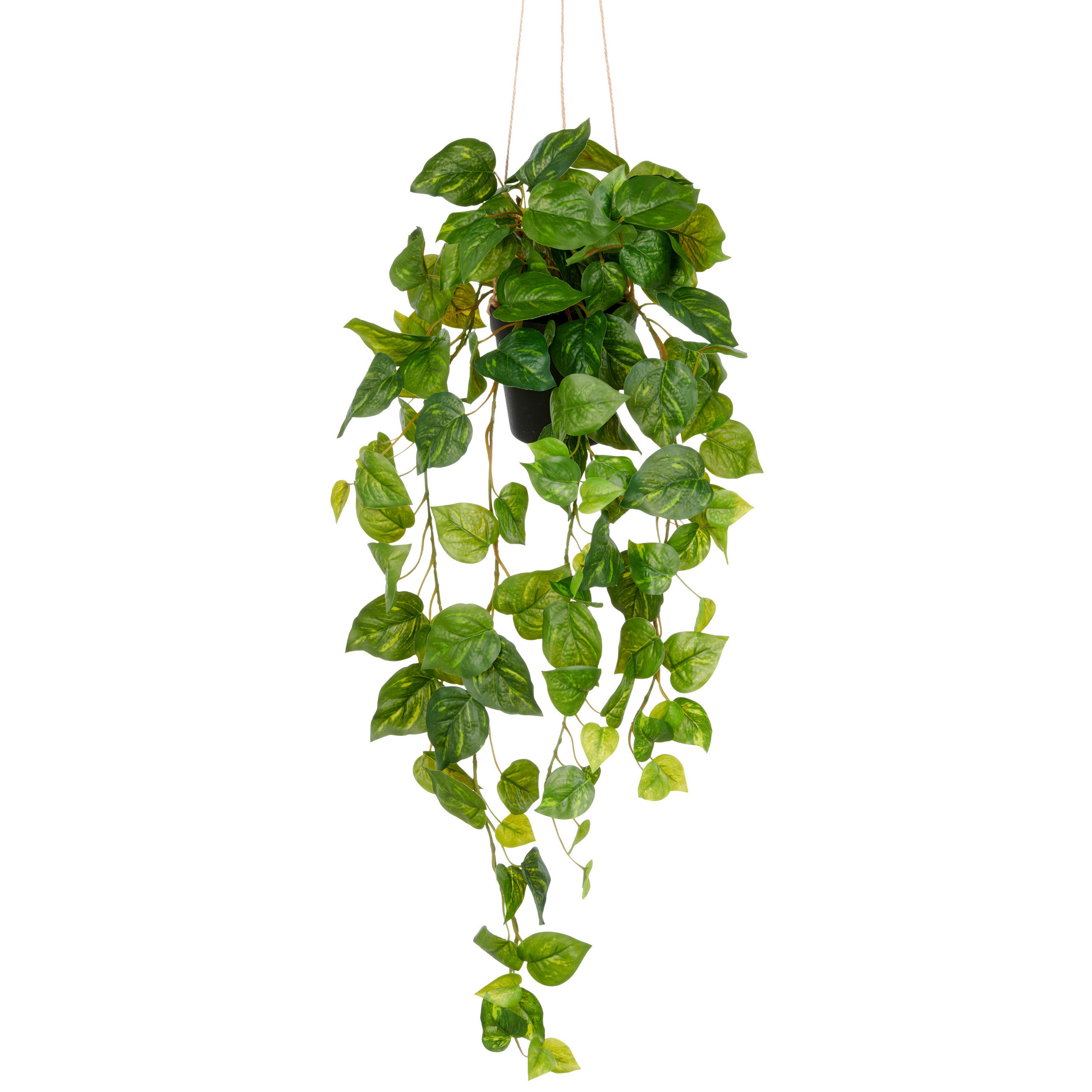 KUNSTPFLANZE Philodendron 75 cm  - Schwarz/Grün, Basics, Kunststoff (75cm) - P & B